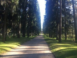 Skogskyrkogården (The Woodland Cemetery)